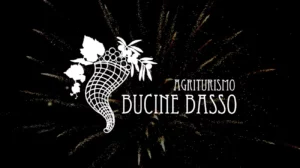 Podere Bucine Basso San Silvestro 2023
