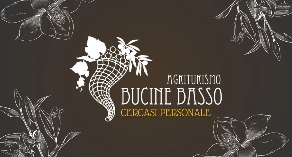 Podere Bucine Basso Cercasi Personale