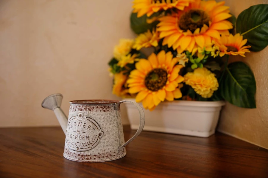 Podere-Bucine-Basso-Girasole-06