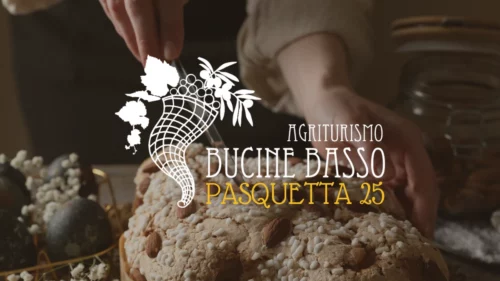 Podere-Bucine-Basso-Pasquetta-25