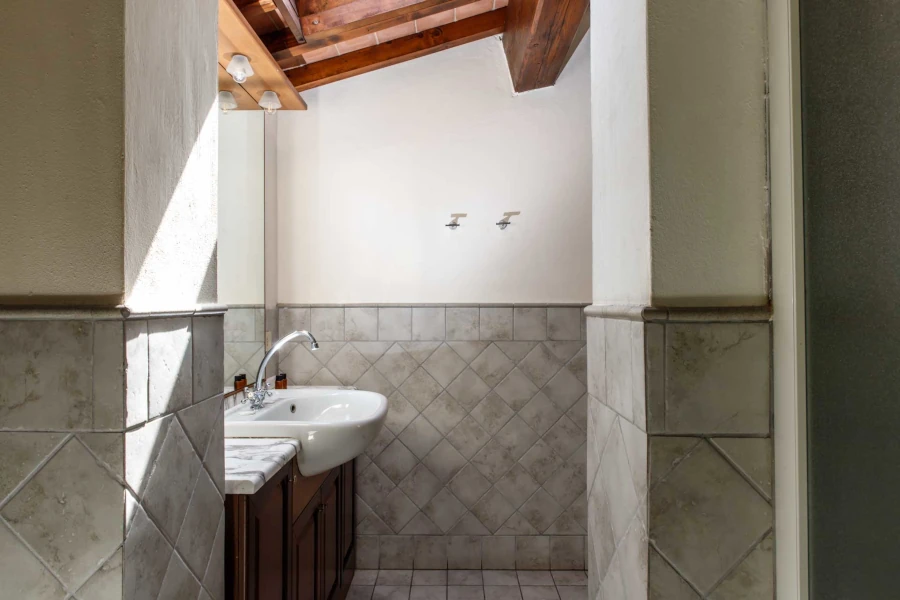 Podere-Bucine-Basso-Ranuncolo-05