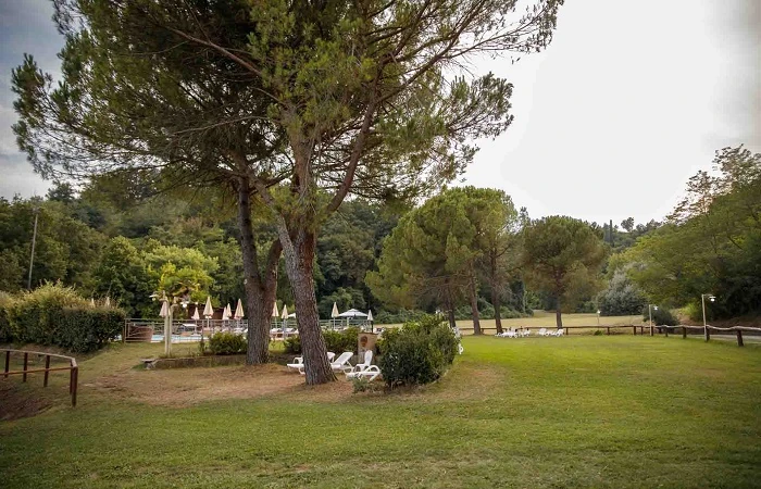 Podere Bucine Basso Parco