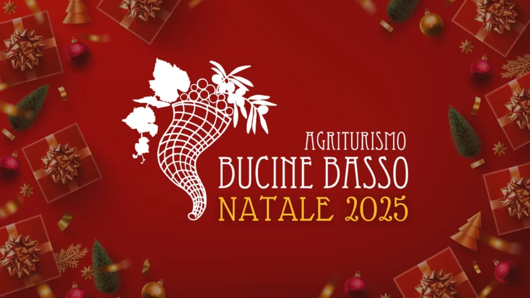 Podere Bucine Basso natale 25