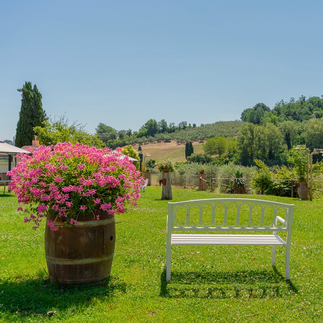 Podere-Bucine-Basso-relax-e-natura