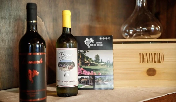 Podere Bucine Basso Vini