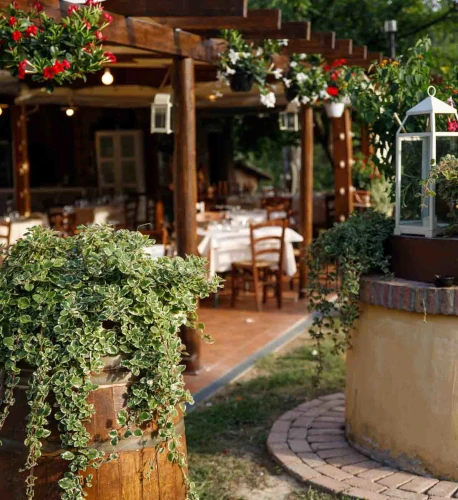 Podere Bucine Basso Sala Privata